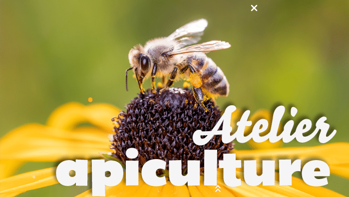 202310116 atelier apiculture