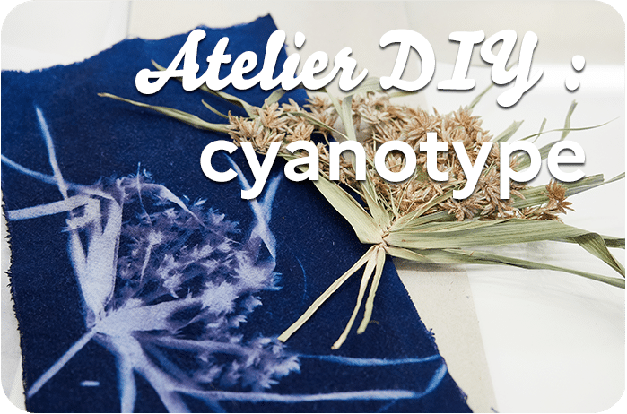 Atelier DIY : Cyanotype 1 cyanotype