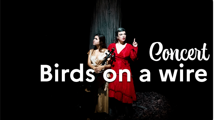 concert birds on a wire